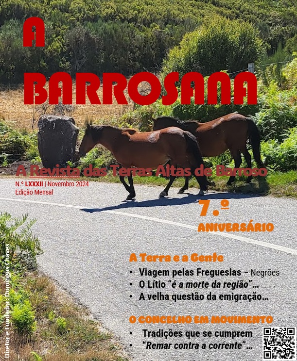Edição Novembro 2024
